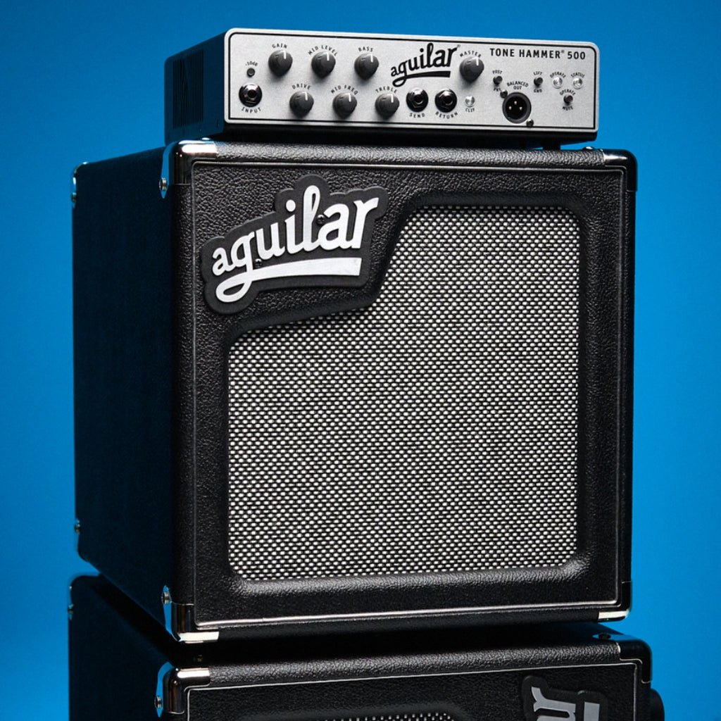 Aguilar SL 110 8-Ohm Speaker Cabinets Sky Music