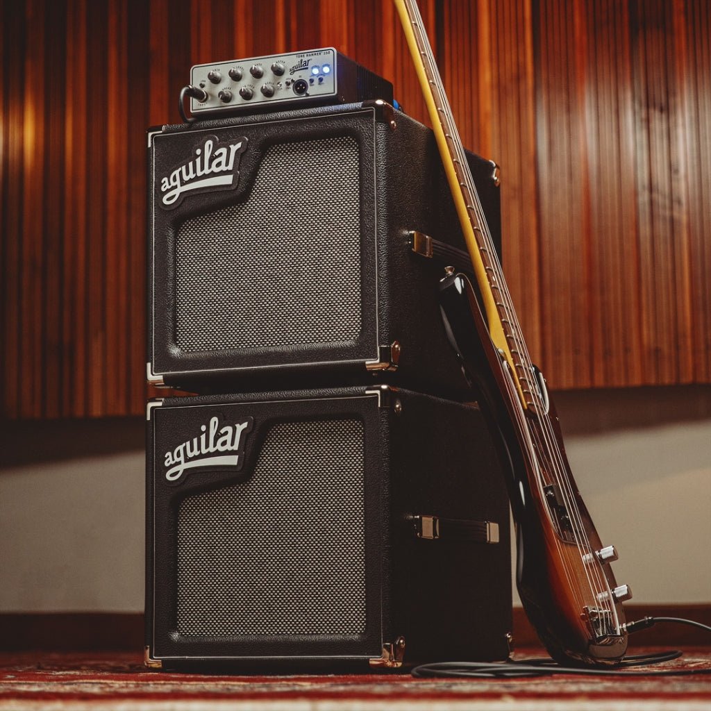 Aguilar SL 110 8-Ohm Speaker Cabinets Sky Music