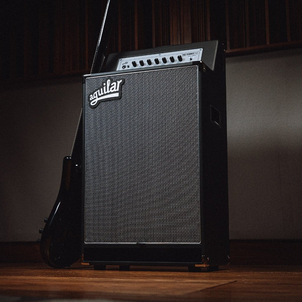 Aguilar Tone Hammer 210 300-watt, 2 x 10-inch Combo Amplifier Bass Guitar Amplifiers Sky Music