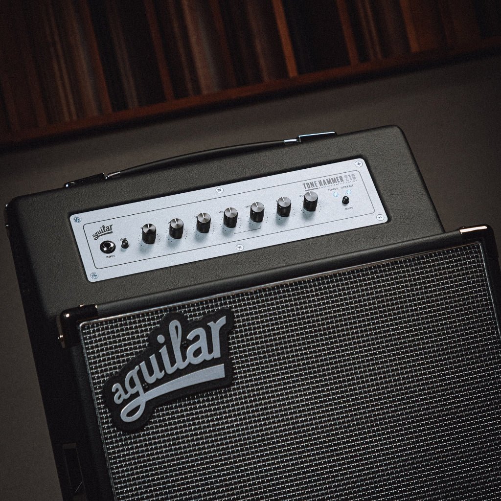 Aguilar Tone Hammer 210 300-watt, 2 x 10-inch Combo Amplifier Bass Guitar Amplifiers Sky Music