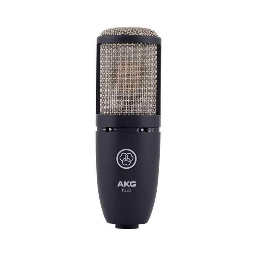 AKG P220 Large Diaphragm True Condenser Mic Microphones Sky Music