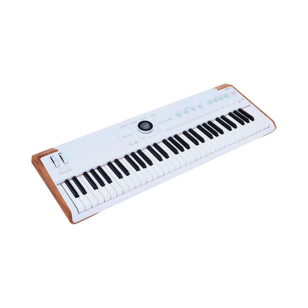 Arturia AstroLab 61-key Stage Keyboard Keyboards Sky Music