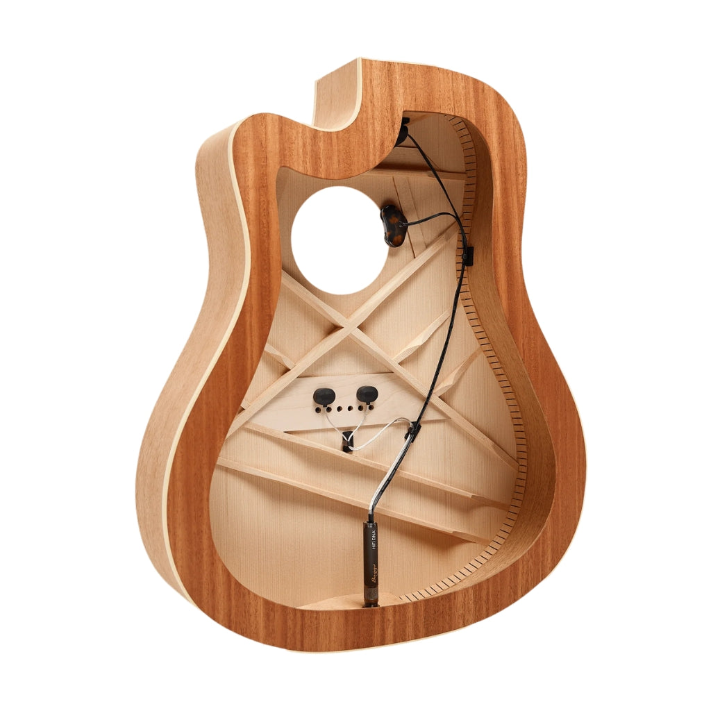LR Baggs - HiFi DNA Advanced Bridge Plate - Pickup System