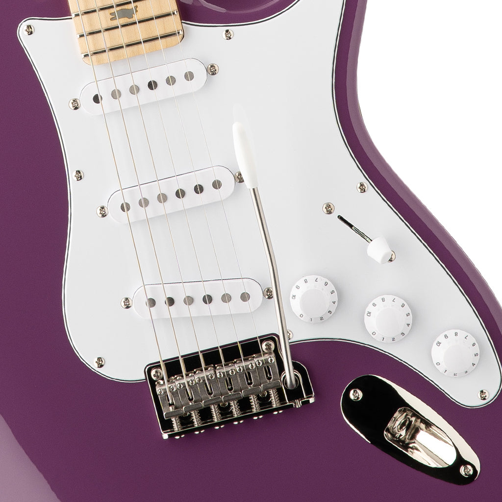 PRS SE Silver Sky Maple Fretboard - Summit Purple