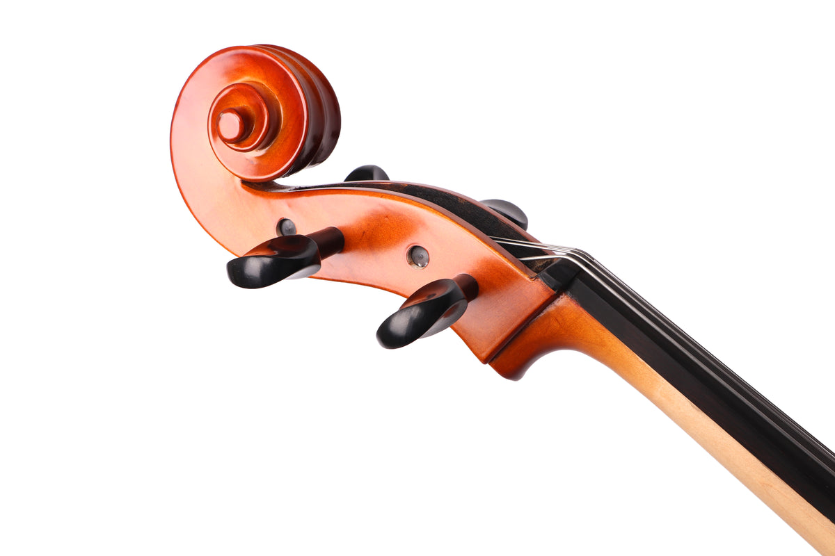 Nameless Spruce Plywood Cello SCLO2-2/4, with Bow and Bag