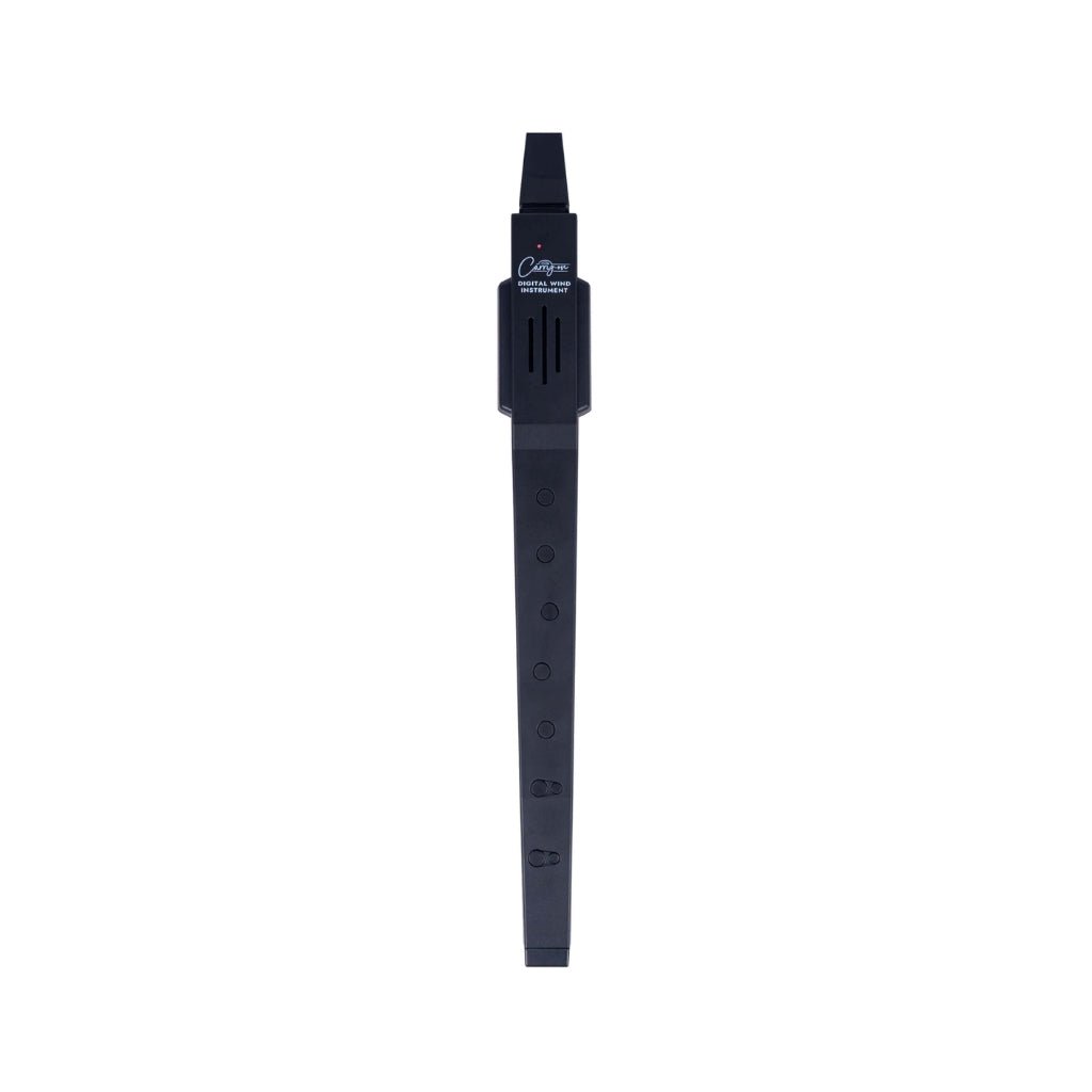 Blackstar Carry-on Digital Wind Instrument wth MIDI - Black Wood Wind Sky Music