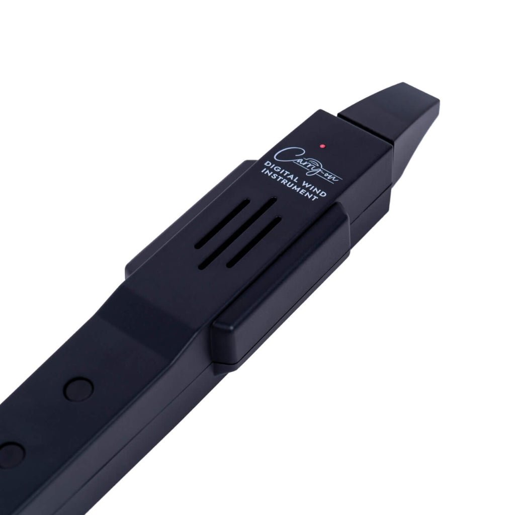 Blackstar Carry-on Digital Wind Instrument wth MIDI - Black Wood Wind Sky Music