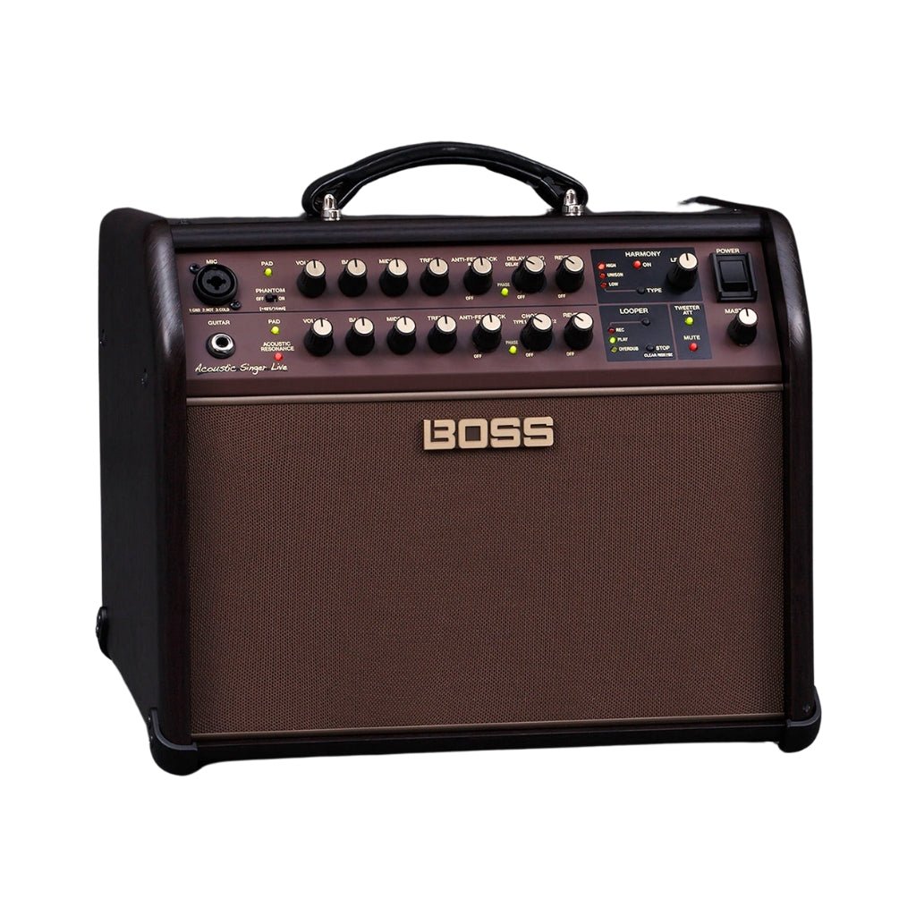 Boss Acoustic Singer Live 60-watt Bi-amp Acoustic Combo with FX Acoustic Guitar Amplifiers Sky Music