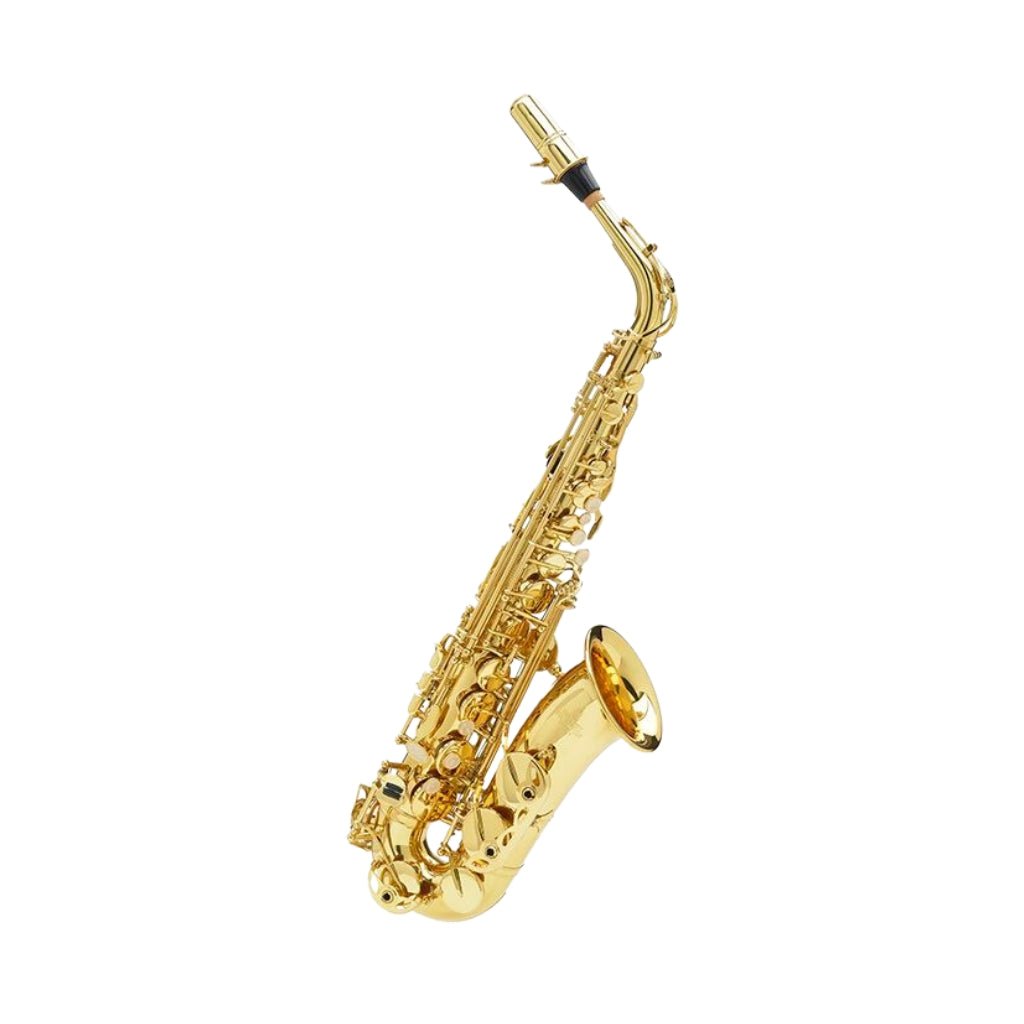 Buffet 100 Series Alto Sax Saxophones Sky Music