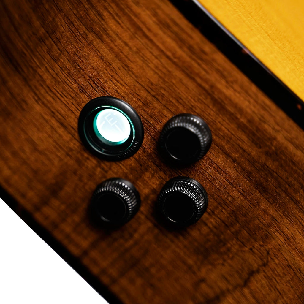 Cort Frank Gambale Luxe II Nat Signature Guitar With Case