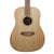 Cole Clark - FL2E LH 12-String - Bunya Top, Blackwood B&S