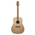 Cole Clark - FL2E LH 12-String - Bunya Top, Blackwood B&S