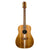 Cole Clark - FL2E Fat Lady 2 - All Blackwood 12 String