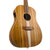 Cole Clark - FL2E Fat Lady 2 - All Blackwood 12 String