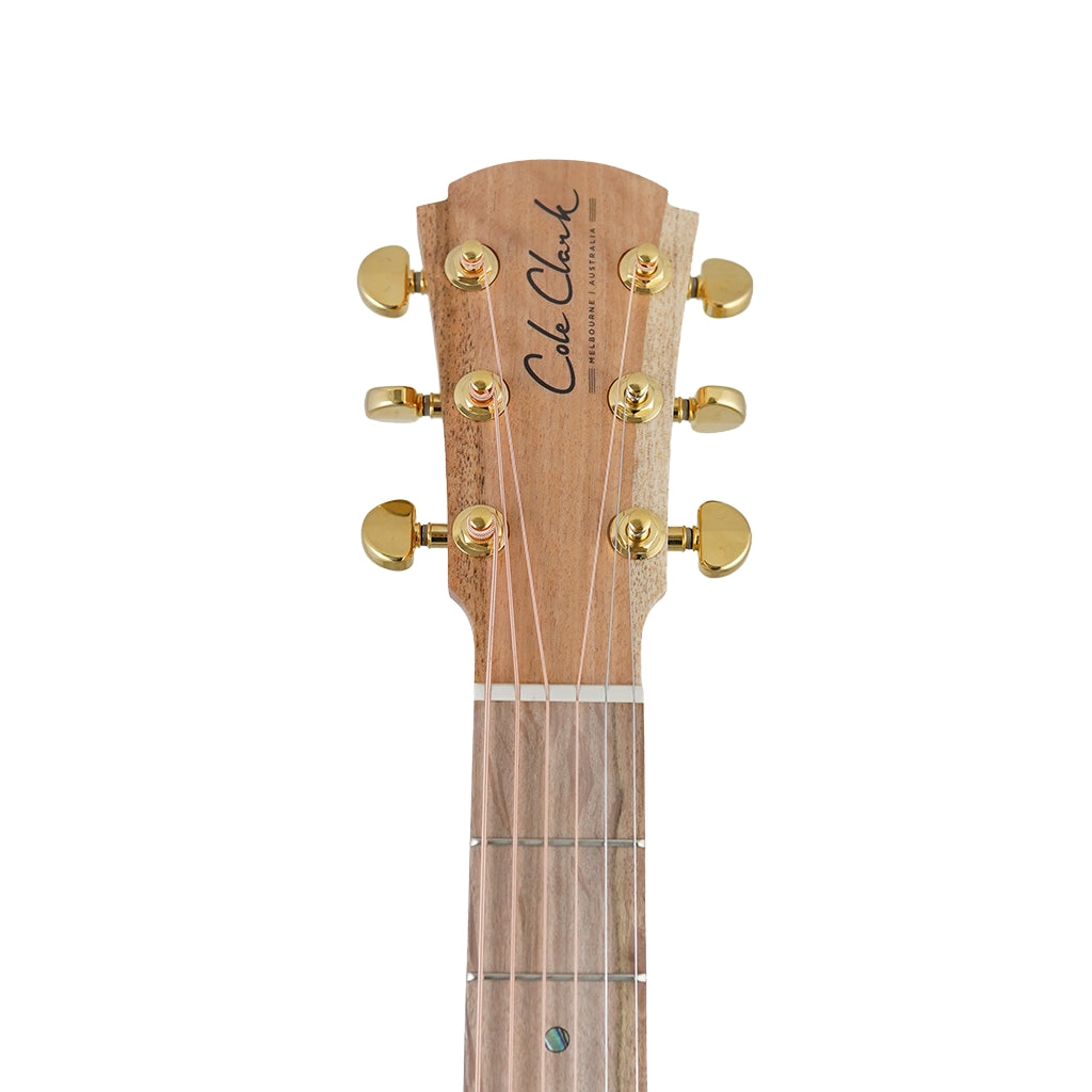 Cole Clark TL2EC All Blackwood HSS