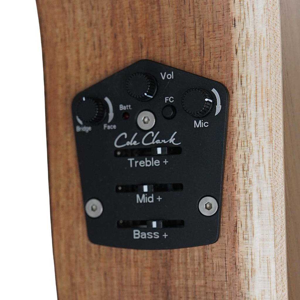 Cole Clark TL2EC All Blackwood HSS