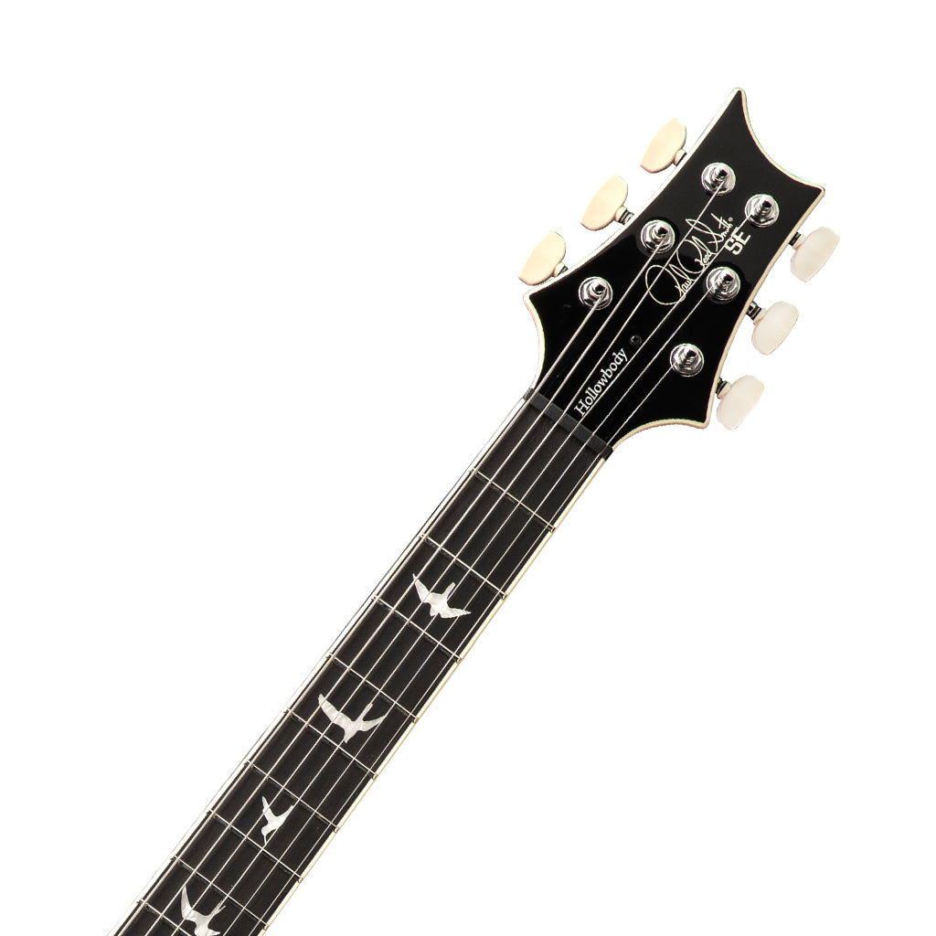 PRS SE Hollowbody Standard - Dog Hair Smokeburst