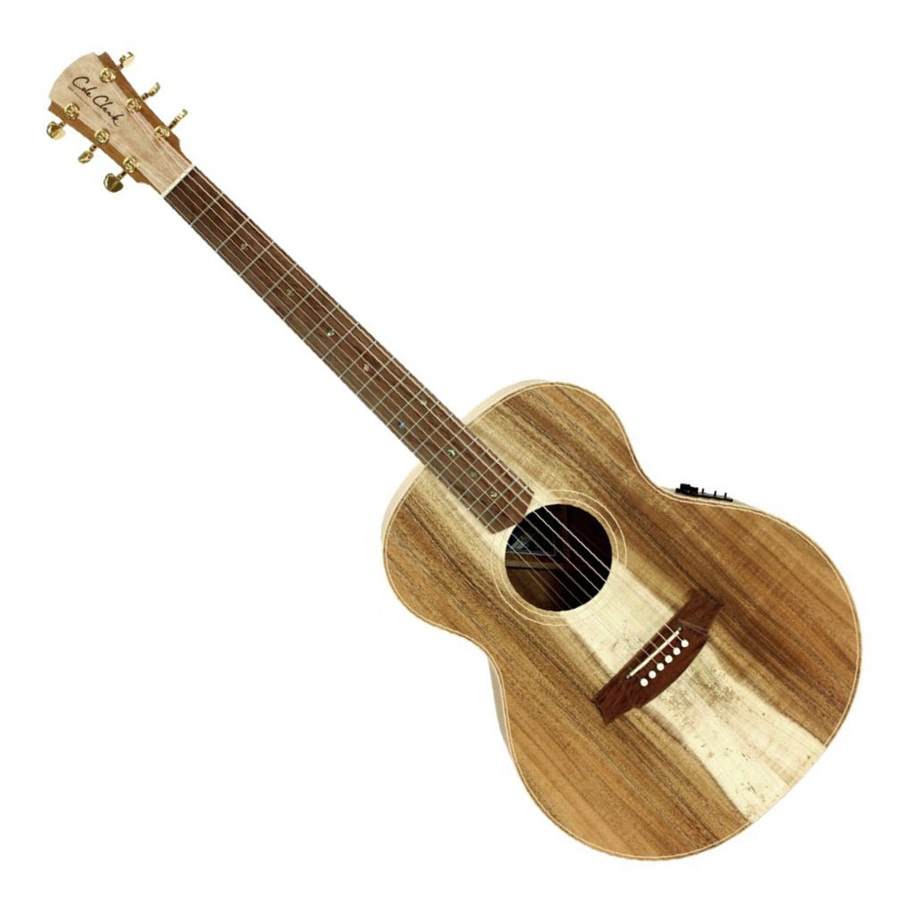 Cole Clark - AN2E All Blackwood - Left Handed | CC240615030 Acoustic Guitars Sky Music