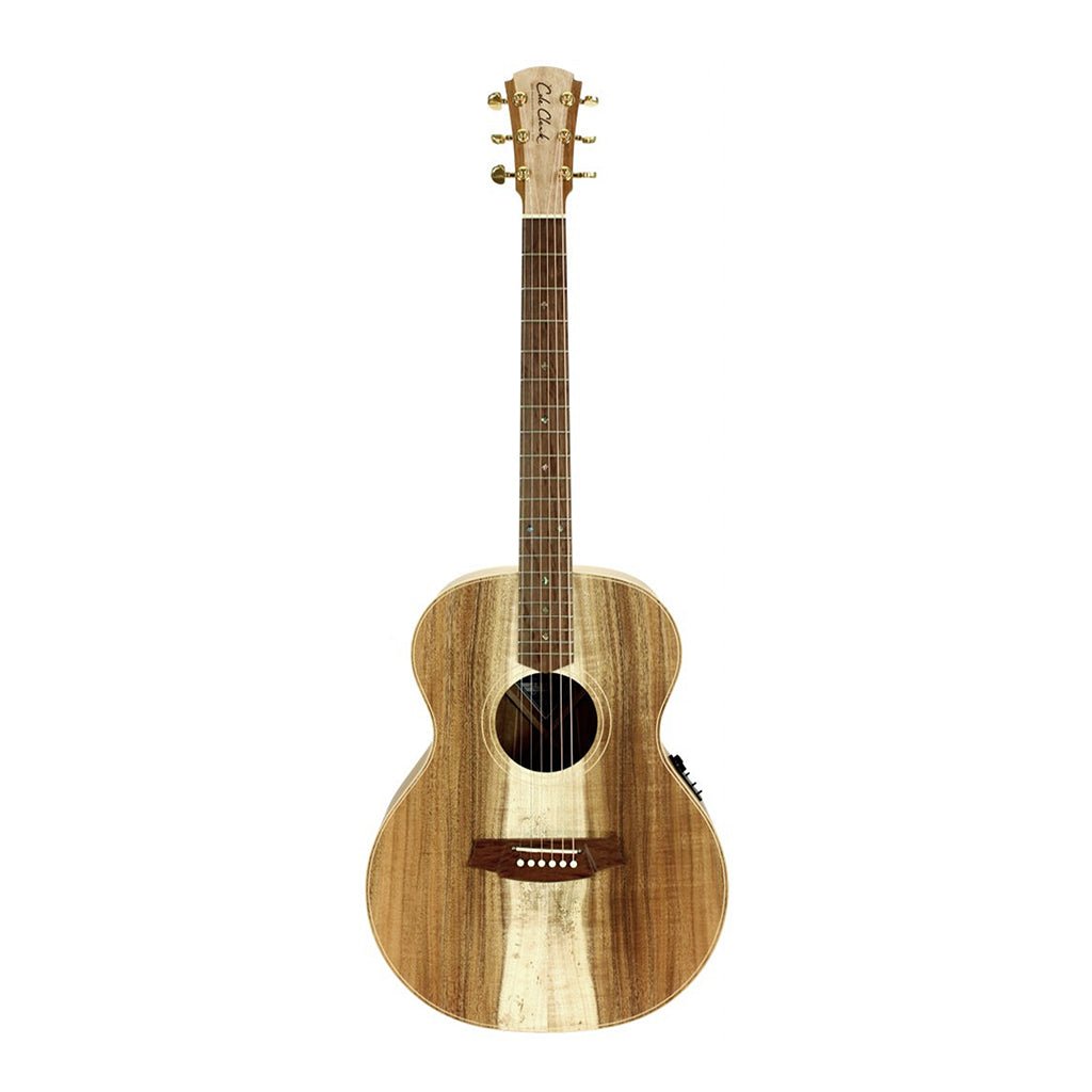 Cole Clark - AN2E All Blackwood - Left Handed | CC240615030 Acoustic Guitars Sky Music