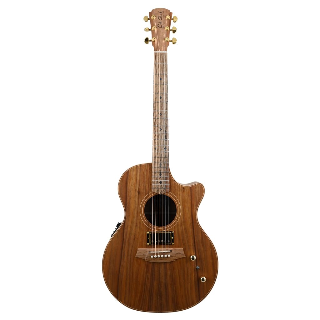 Cole Clark AN2EC-BLBL Humbucker - All Blackwood Acoustic Guitars Sky Music