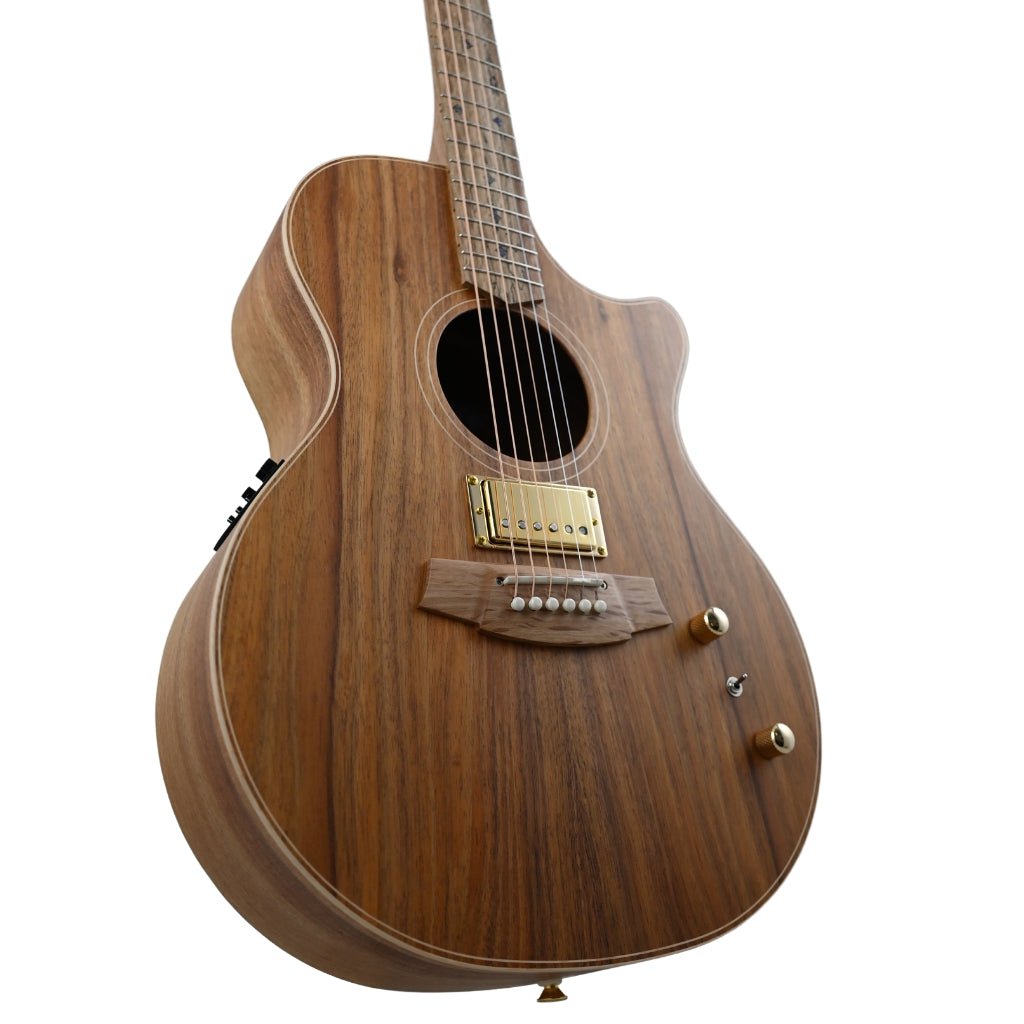 Cole Clark AN2EC-BLBL Humbucker - All Blackwood Acoustic Guitars Sky Music