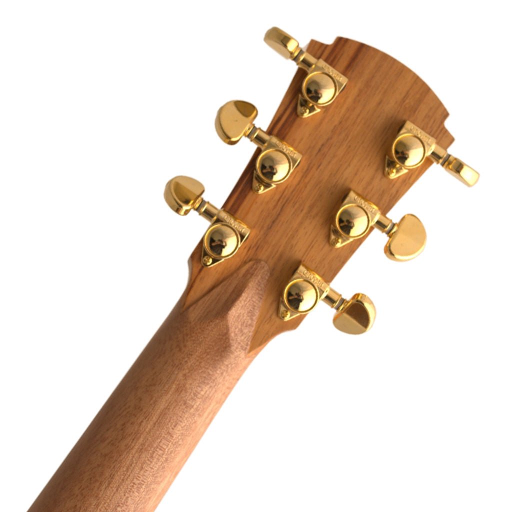 Cole Clark AN2EC LH - Bunya Top, Blackwood Back and Sides Acoustic Guitars Sky Music