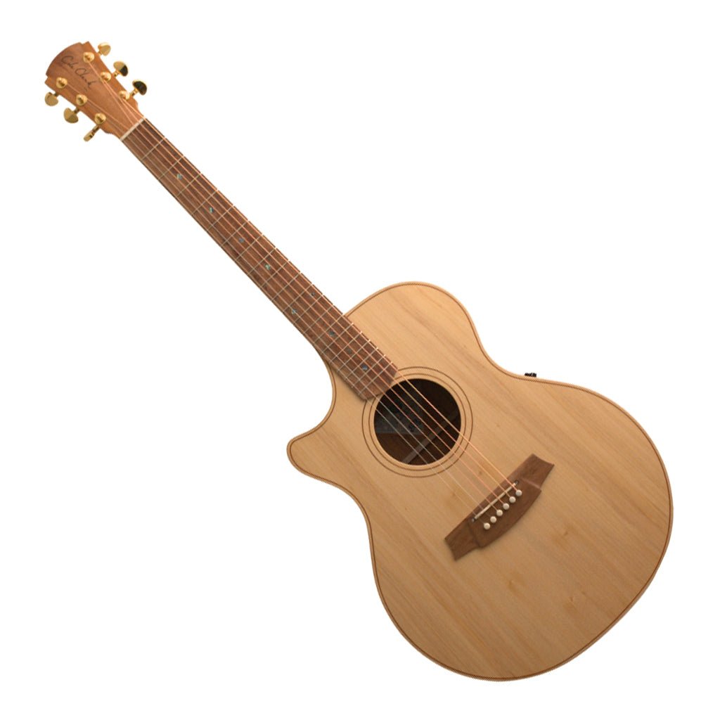 Cole Clark AN2EC LH - Bunya Top, Blackwood Back and Sides Acoustic Guitars Sky Music