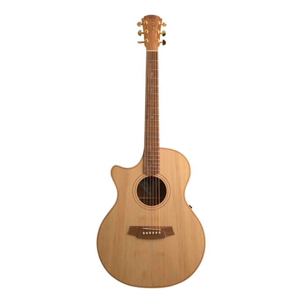 Cole Clark AN2EC LH - Bunya Top, Blackwood Back and Sides Acoustic Guitars Sky Music