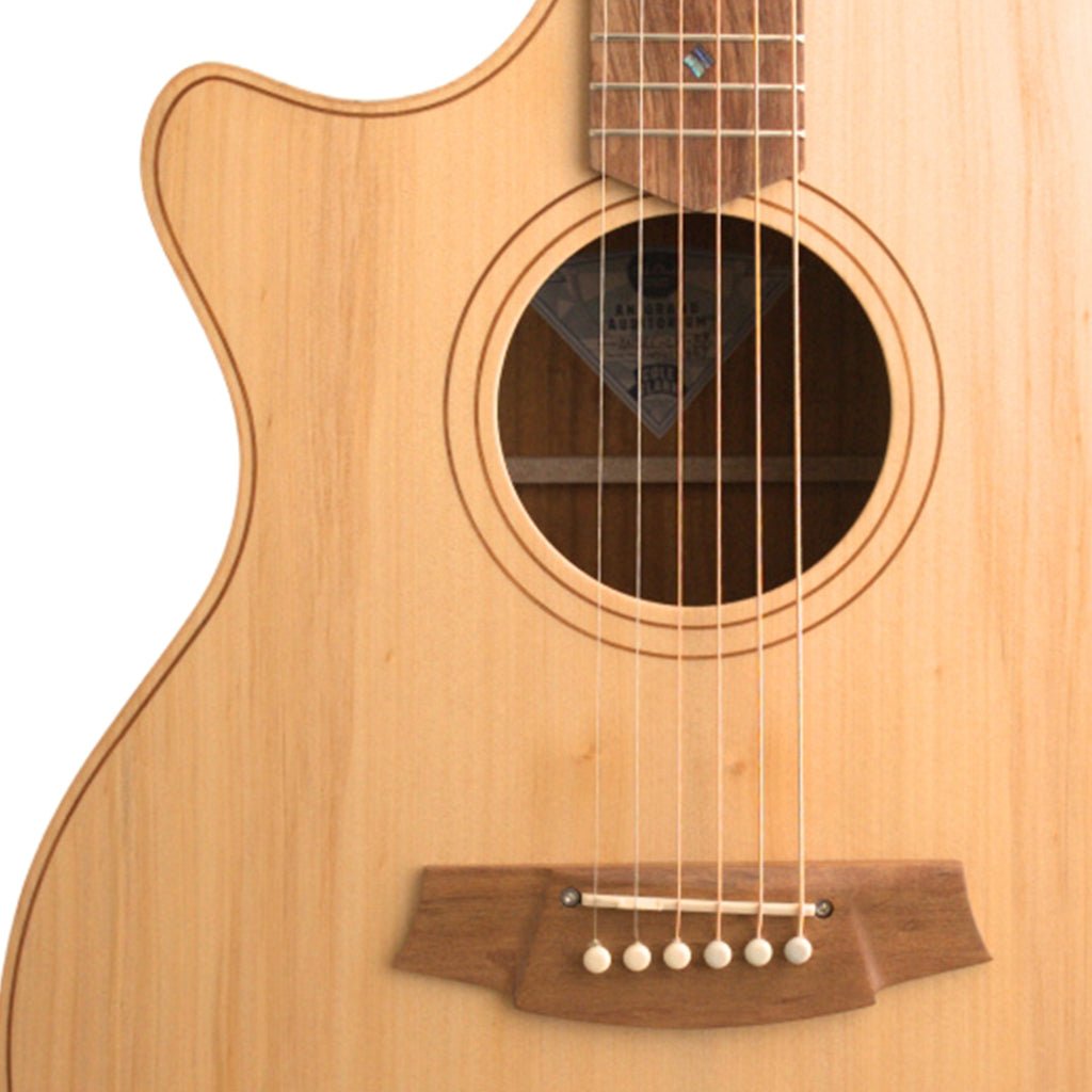 Cole Clark AN2EC LH - Bunya Top, Blackwood Back and Sides Acoustic Guitars Sky Music