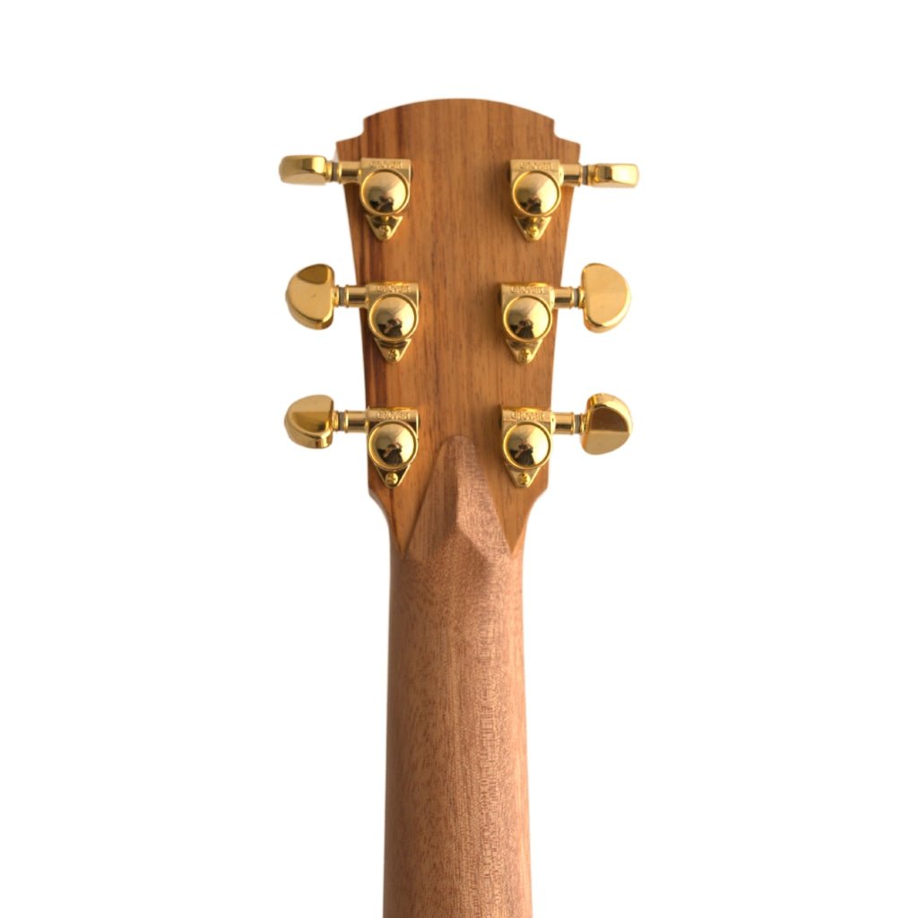 Cole Clark CCAN2EC-BB Angel Bunya Blackwood Left-Handed Acoustic Guitar Acoustic Guitars Sky Music