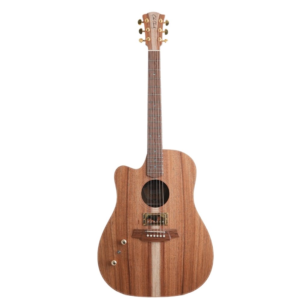 Cole Clark FL2EC All Blackwood HB Left Handed Acoustic/Electric Guitar Acoustic Guitars Sky Music