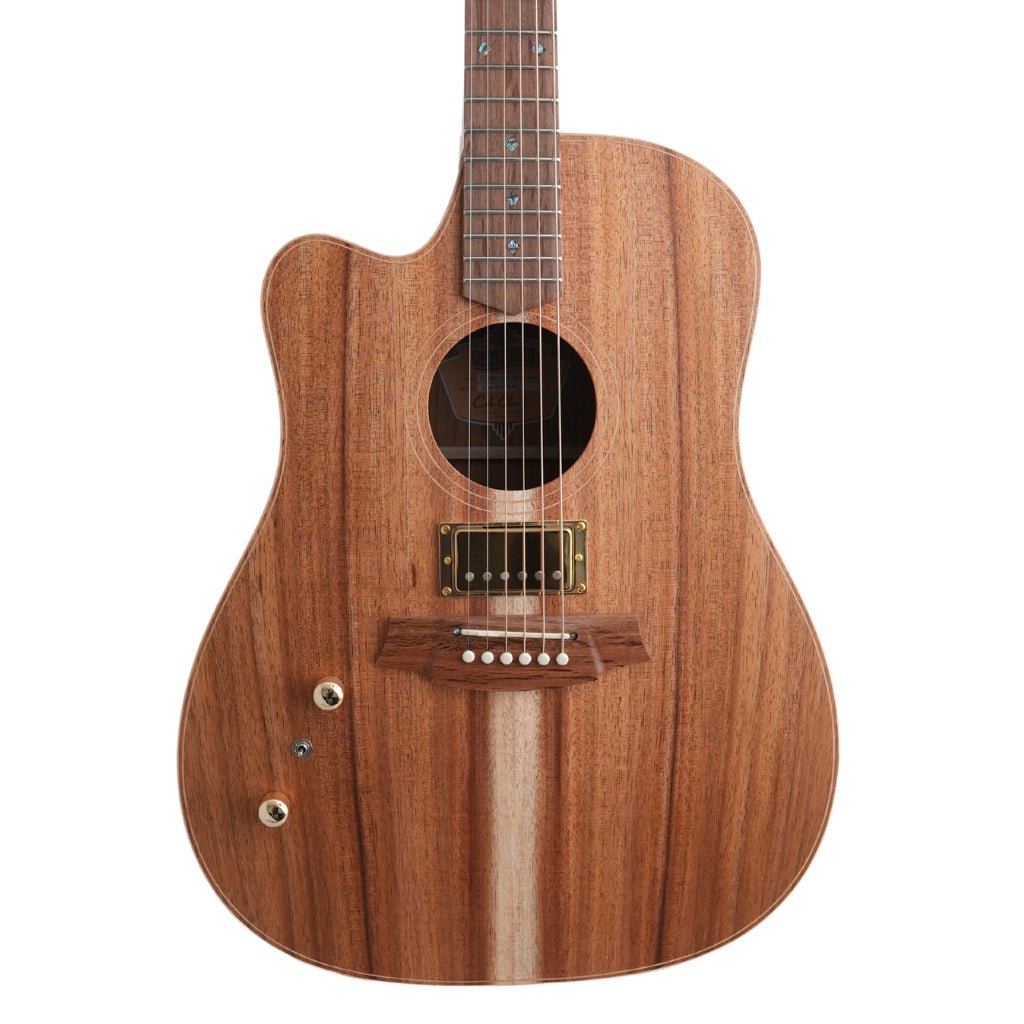 Cole Clark FL2EC All Blackwood HB Left Handed Acoustic/Electric Guitar Acoustic Guitars Sky Music