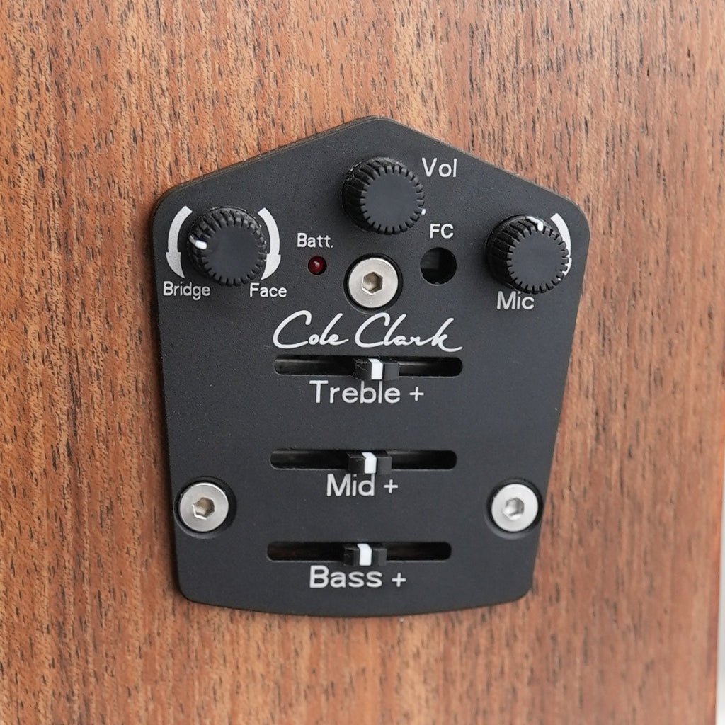 Cole Clark FL2EC All Blackwood HB Left Handed Acoustic/Electric Guitar Acoustic Guitars Sky Music