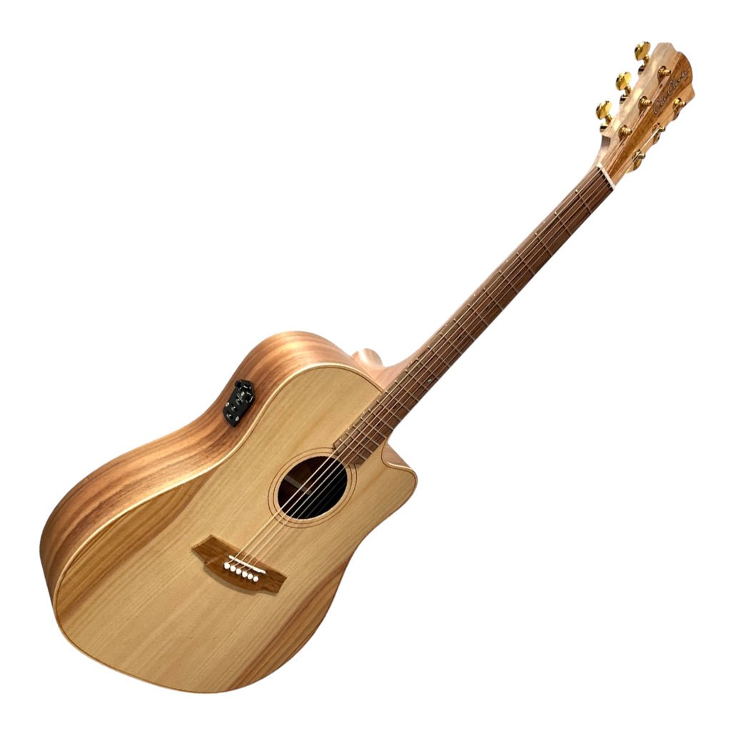 Cole Clark FL2EC-BB Dreadnought Cutaway - Bunya Blackwood Acoustic Guitars Sky Music