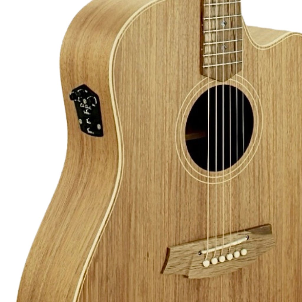 Cole Clark FL2EC Blackwood Blackwood Acoustic Guitars Sky Music