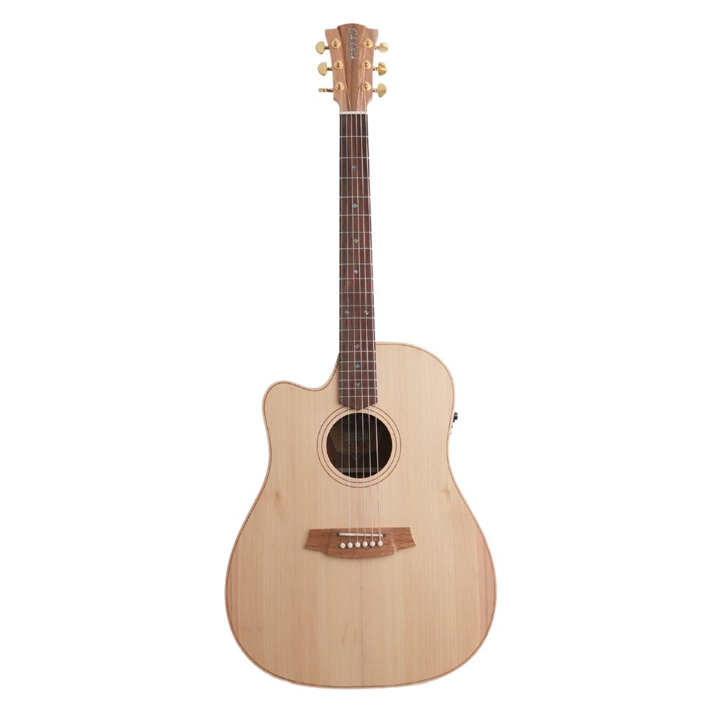 Cole Clark FL2EC Bunya Blackwood Left Handed Acoustic/Electric Guitar Acoustic Guitars Sky Music