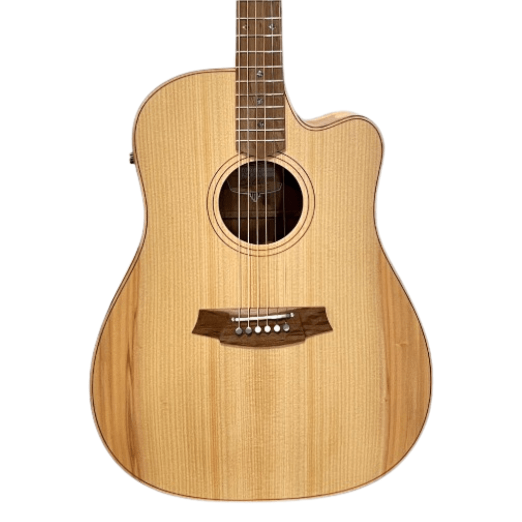 Cole Clark FL2EC Bunya Maple Acoustic Guitars Sky Music