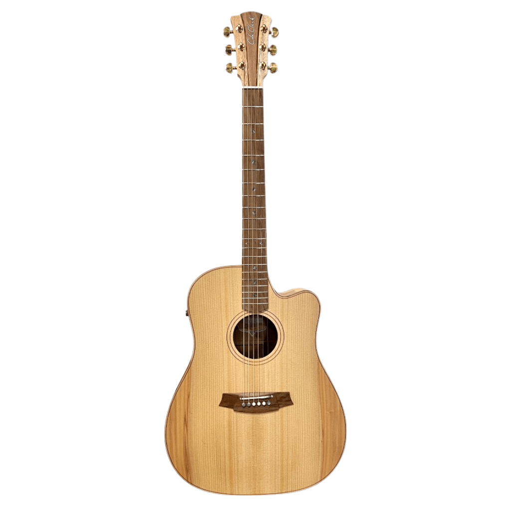 Cole Clark FL2EC Bunya Maple Acoustic Guitars Sky Music
