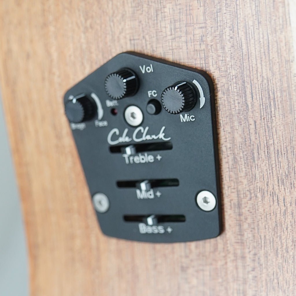 Cole Clark FL2EC - Bunya Top - Blackwood B&S Acoustic Guitars Sky Music