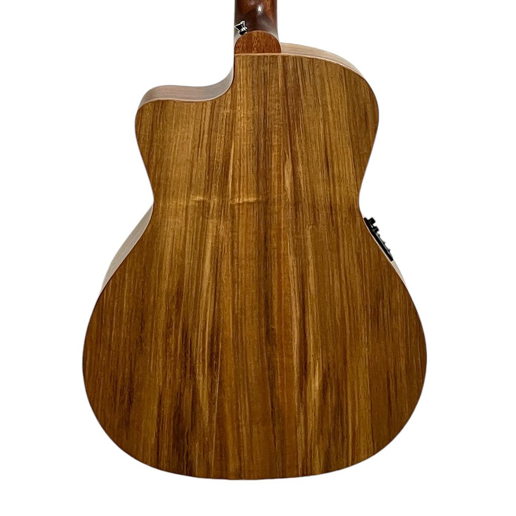 Cole Clark SAN1EC-BLBL Studio Grand Auditorium All Blackwood Acoustic Guitars Sky Music