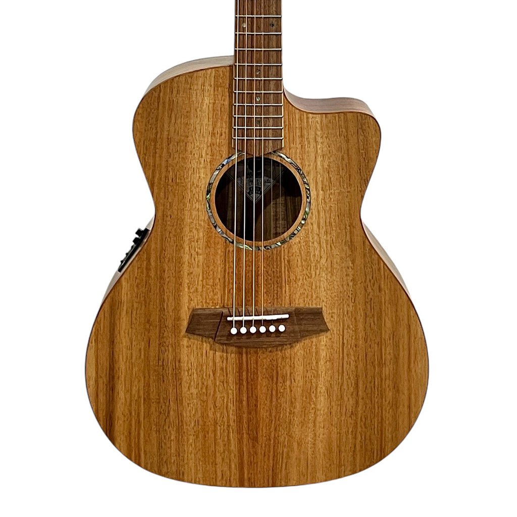 Cole Clark SAN1EC-BLBL Studio Grand Auditorium All Blackwood Acoustic Guitars Sky Music