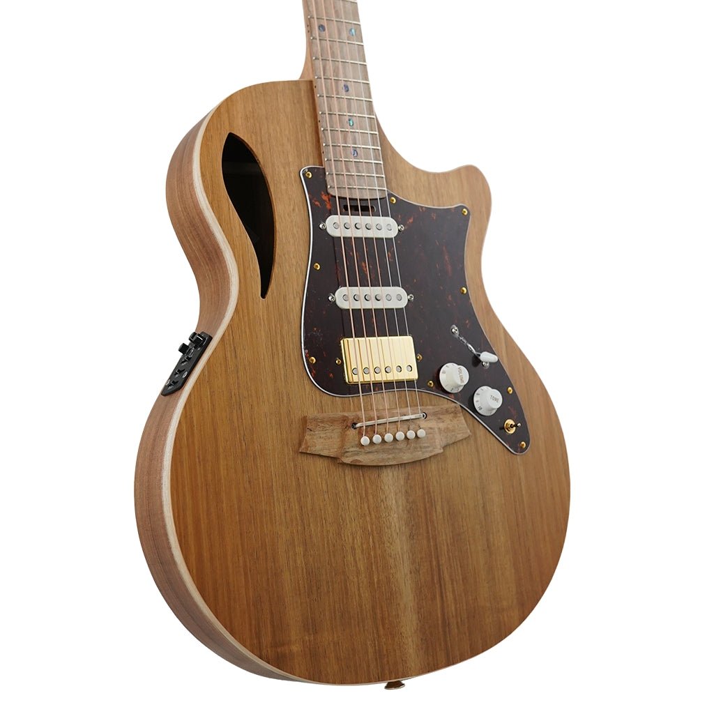 Cole Clark TL2EC All Blackwood HSS Acoustic Guitars Sky Music