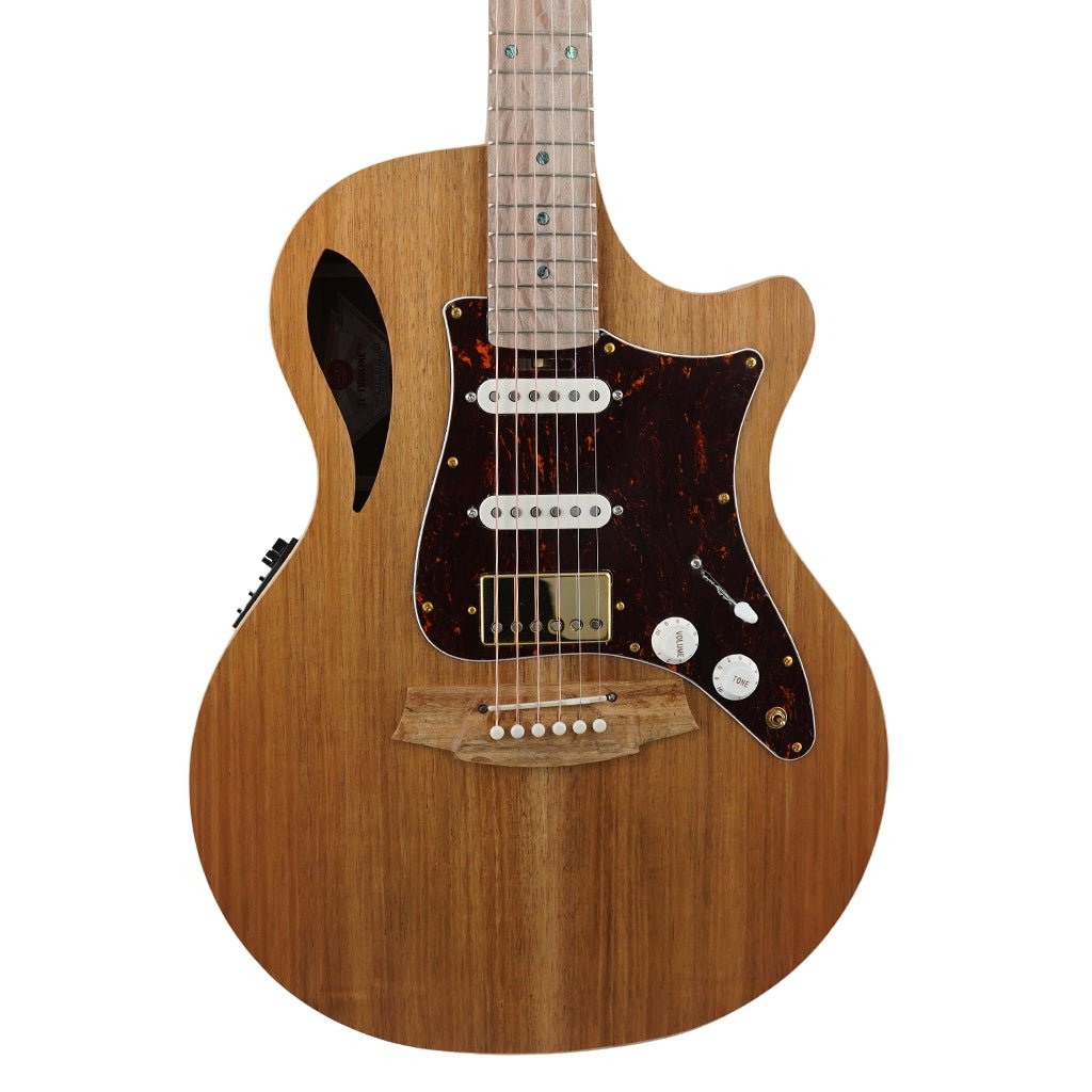 Cole Clark TL2EC All Blackwood HSS Acoustic Guitars Sky Music