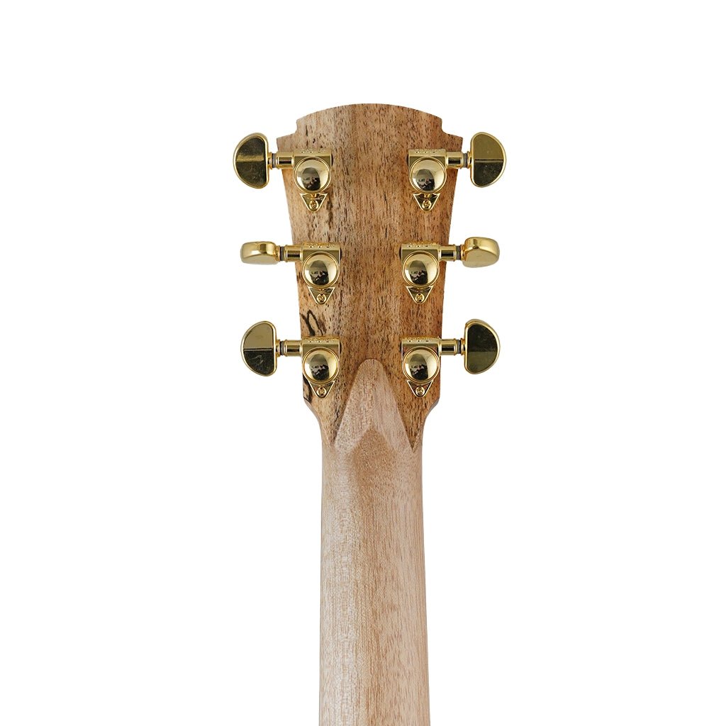 Cole Clark TL2EC All Blackwood HSS Acoustic Guitars Sky Music