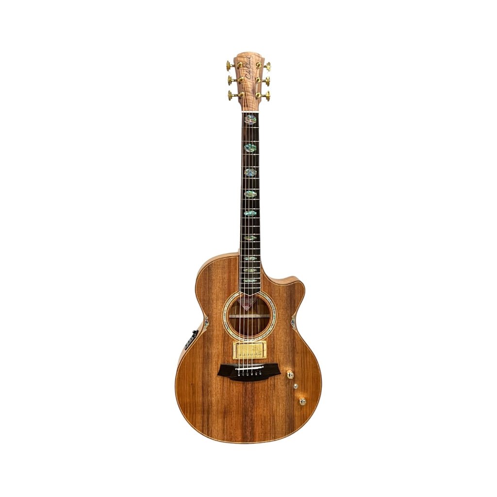 Cole Clark TL3EC All Blackwood Humbucker 15984 - Natural Acoustic Guitars Sky Music
