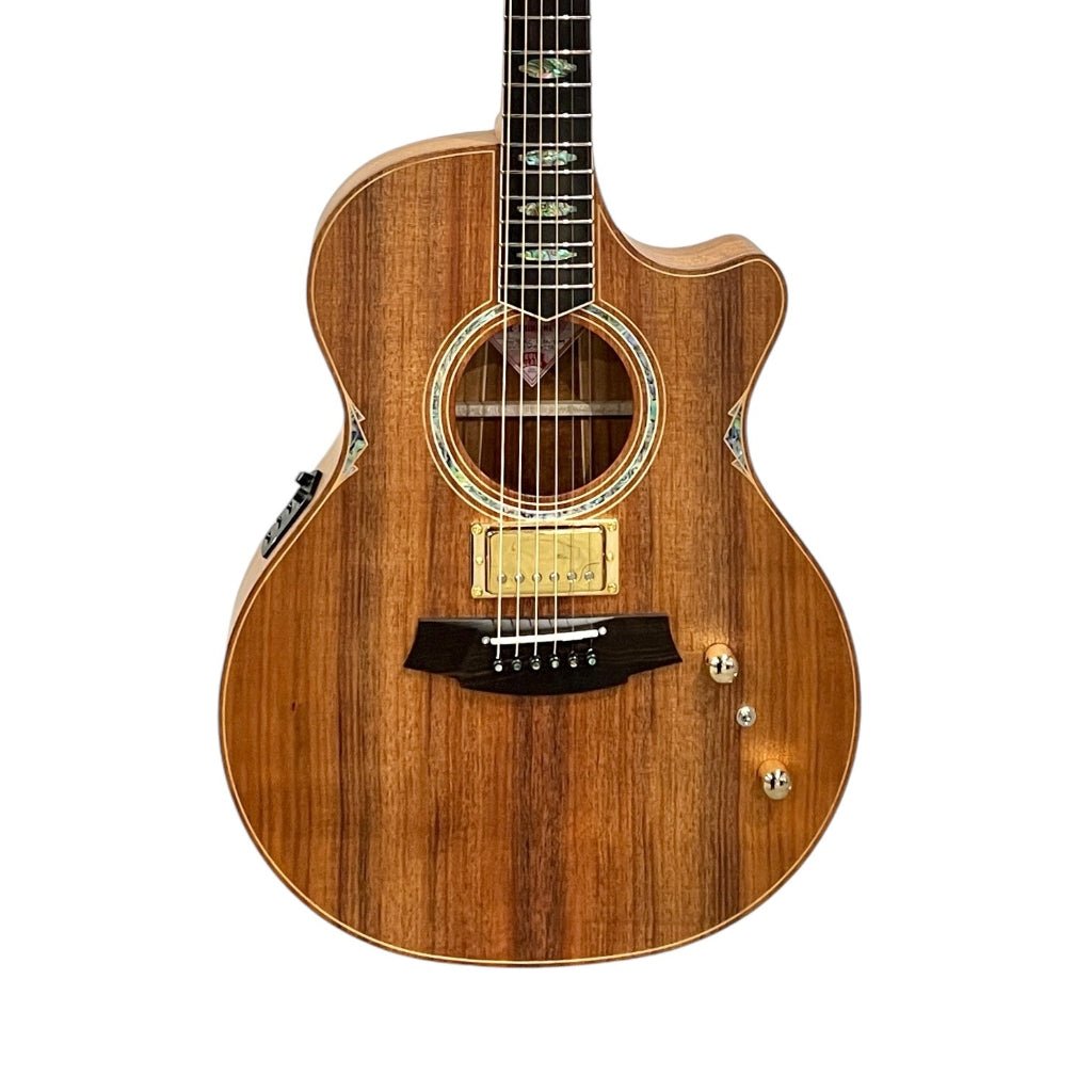 Cole Clark TL3EC All Blackwood Humbucker 15984 - Natural Acoustic Guitars Sky Music