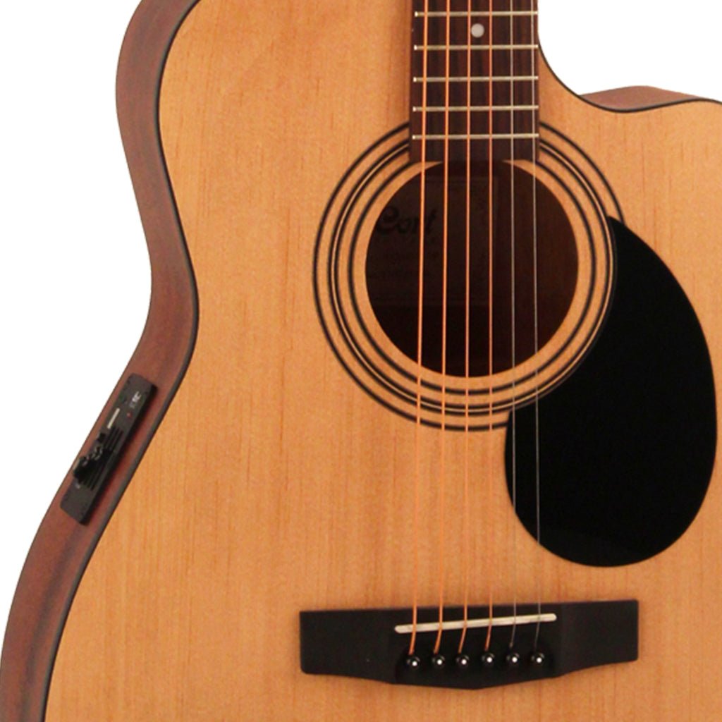 Cort AF515CE Concert with Bag Acoustic Guitars Sky Music