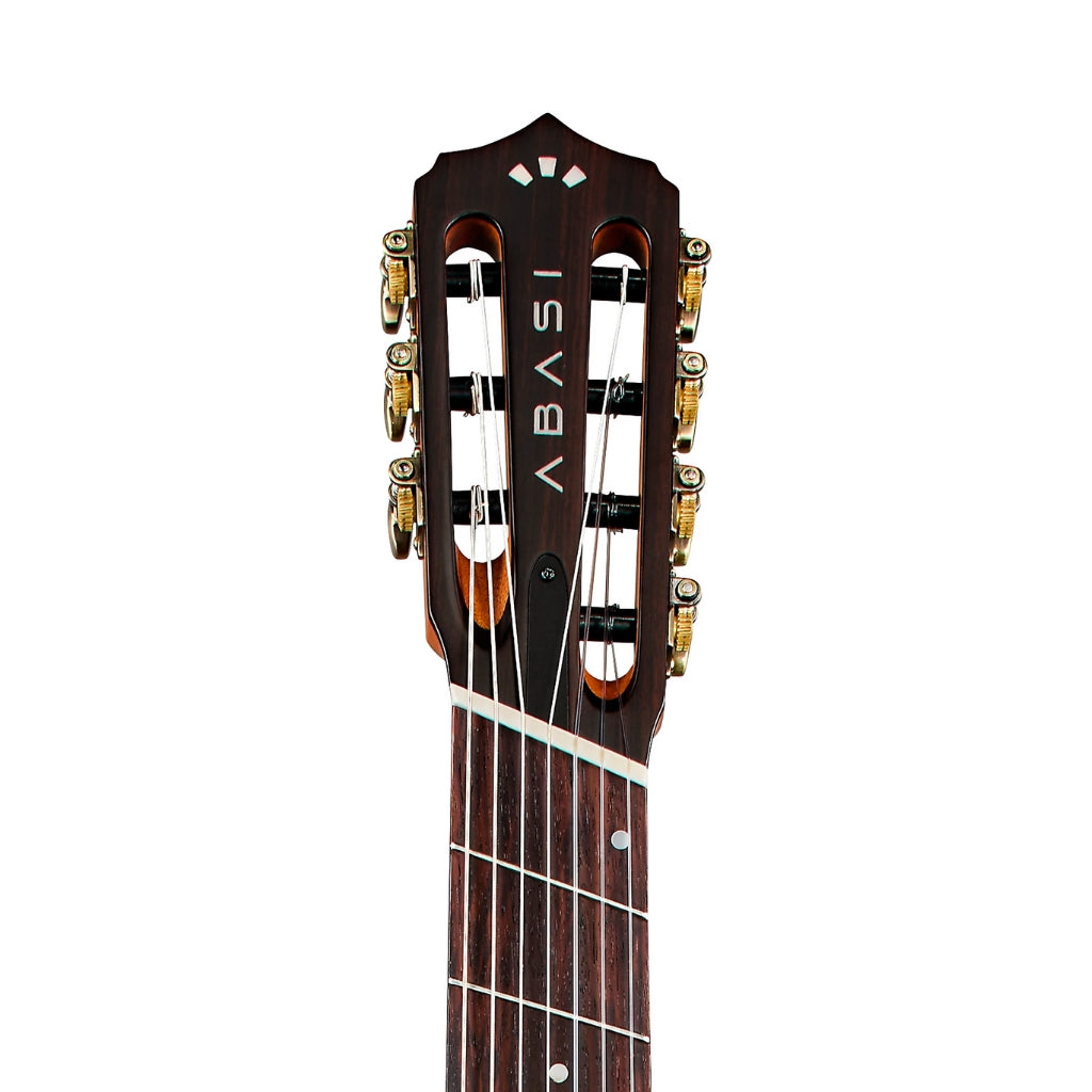 Abasi - Stage 7 Nylon-String Acoustic-Electric Guitar - Ziricote