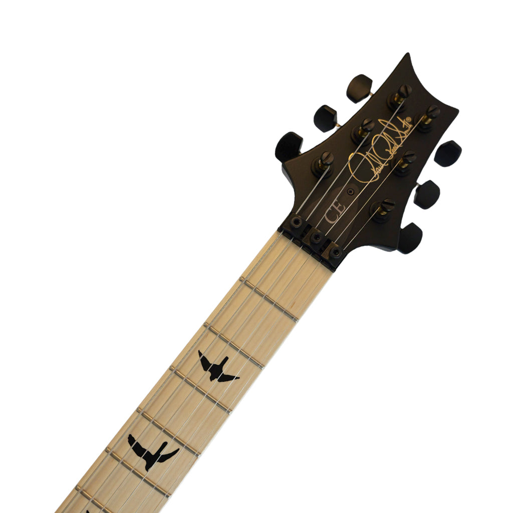 PRS Dustie Waring CE24 Floyd Electric Guitar - Grey Black Stained Binding