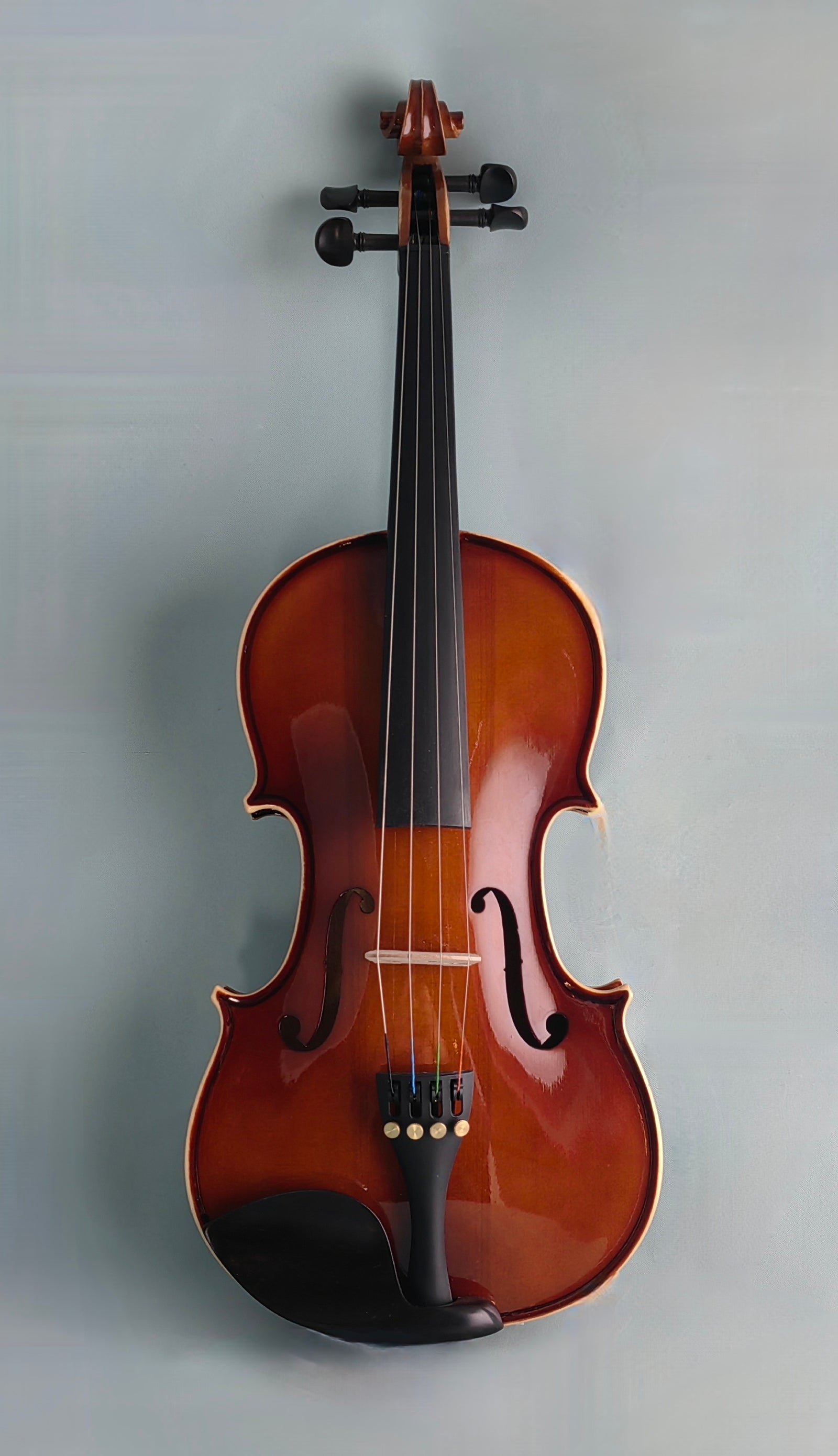 Nameless Handmade Solid Wood Violin SVLN4-4/4, with Bow and Case